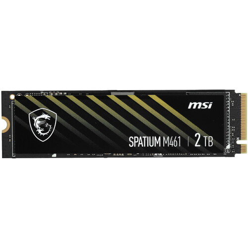 Купить 2000 ГБ M.2 NVMe накопитель MSI SPATIUM M461 [S78-440Q550-P83] в интернет-магазине DNS. Характеристики, цена MSI SPATIUM M461 | 5439896.