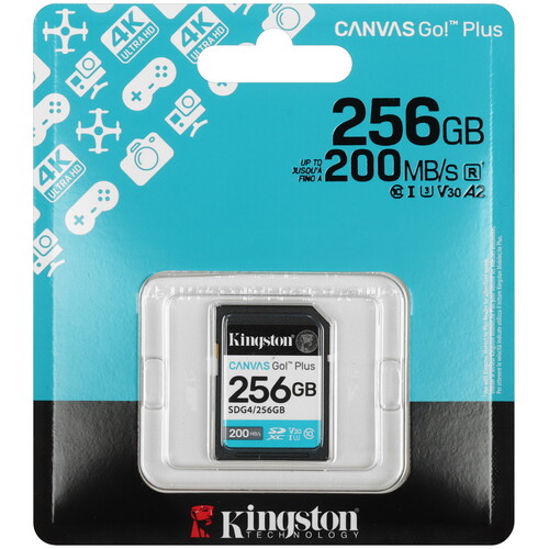 Купить Карта памяти Kingston Canvas Go! Plus SDXC 256 ГБ [SDG4/256GB] в интернет-магазине DNS. Характеристики, цена  | 5632485.