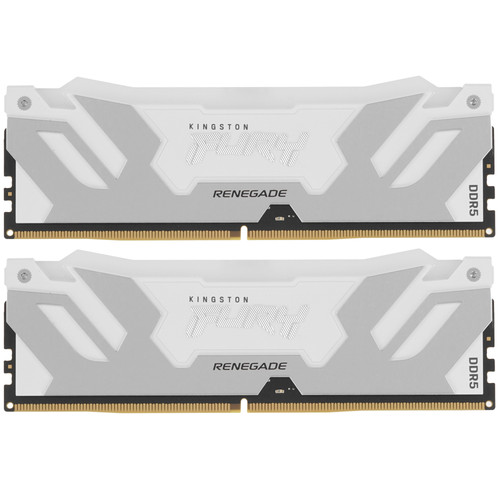 Купить Оперативная память Kingston Fury Renegade White RGB [KF580C38RWA-24] 24 ГБ в интернет-магазине DNS. Характеристики, цена Kingston Fury Renegade White RGB | 5629298.