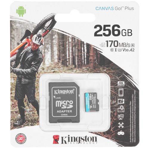 Купить Карта памяти Kingston Canvas Go! Plus microSDXC 256 ГБ [SDCG3/256GB] в интернет-магазине DNS. Характеристики, цена  | 4716407.