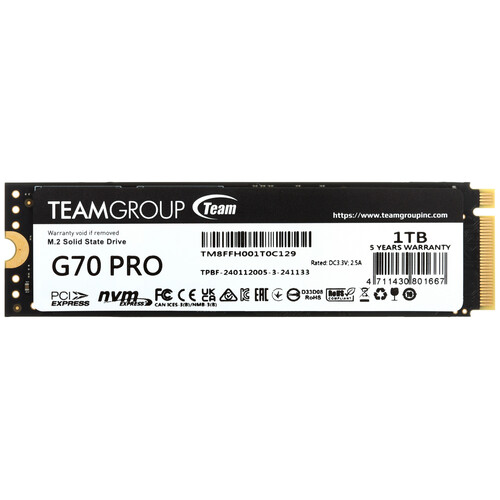 Купить 1000 ГБ M.2 NVMe накопитель TEAMGROUP T-FORCE G70 Pro [TM8FFH001T0C129] в интернет-магазине DNS. Характеристики, цена TEAMGROUP T-FORCE G70 Pro | 5457026.