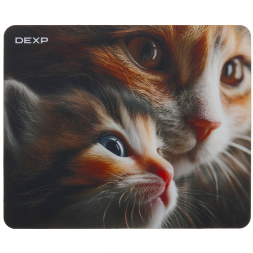 Купить Коврик DEXP Kitten OM-XS (XS) разноцветный в интернет-магазине DNS. Характеристики, цена DEXP Kitten OM-XS | 9297564.