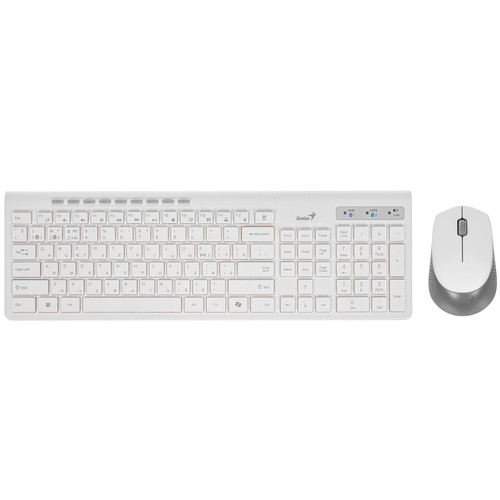 Купить Клавиатура+мышь беспроводная   Genius SlimStar 8230 белый в интернет-магазине DNS. Характеристики, цена Genius SlimStar 8230 | 9140231.