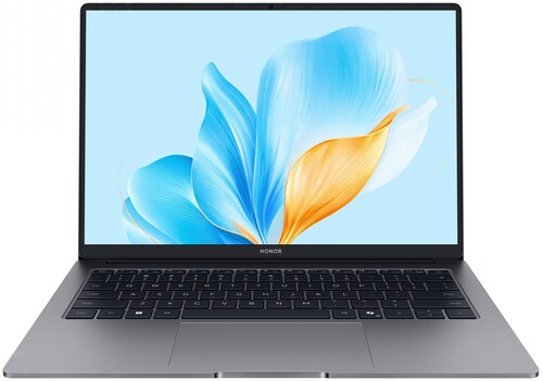 Купить 14" Ноутбук HONOR MagicBook X14 2025 5301ALXJ/FRG-X серый в интернет-магазине DNS. Характеристики, цена HONOR MagicBook X14 2025 5301ALXJ/FRG-X | 5608554.