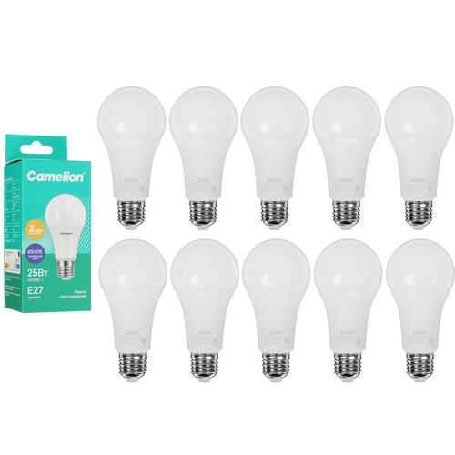 Купить Комплект светодиодных ламп Camelion LED25-A65/865/E27 в интернет-магазине DNS. Характеристики, цена Camelion LED25-A65/865/E27 | 5642986.