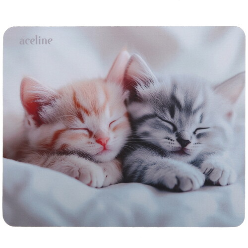 Купить Коврик Aceline OM-XS Kitten (XS) разноцветный в интернет-магазине DNS. Характеристики, цена Aceline OM-XS Kitten | 9206662.