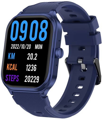 Купить Смарт-часы WiWatch S2 Lite в интернет-магазине DNS. Характеристики, цена WiWatch S2 Lite | 5467177.