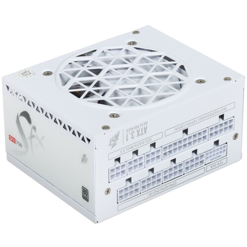 Купить Блок питания 1STPLAYER SFX 750W Platinum White [FP_PS-750SFX-WH] белый в интернет-магазине DNS. Характеристики, цена 1STPLAYER SFX 750W Platinum White | 9063294.