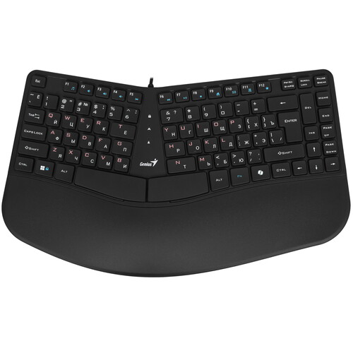 Купить Клавиатура  проводная Genius Ergo KB-700 в интернет-магазине DNS. Характеристики, цена Genius Ergo KB-700 | 9140230.