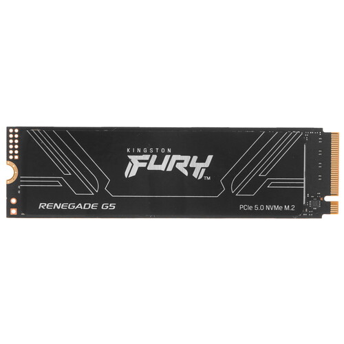 Купить 4096 ГБ M.2 NVMe накопитель Kingston FURY Renegade G5 [SFYR2S/4T0] в интернет-магазине DNS. Характеристики, цена Kingston FURY Renegade G5 | 5628977.