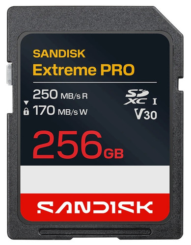 Купить Карта памяти SanDisk Extreme SDXC 256 ГБ [SDSDXXJ-256G-GSCIN] в интернет-магазине DNS. Характеристики, цена  | 5923726.
