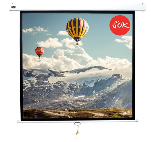 Купить 123" Экран для проектора SAKURA Cinema Wallscreen в интернет-магазине DNS. Характеристики, цена SAKURA Cinema Wallscreen | 1220926.