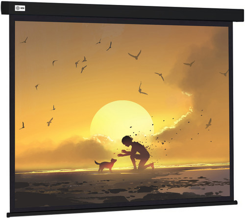 Купить 84" Экран для проектора Cactus Wallscreen CS-PSW-150X150-BK в интернет-магазине DNS. Характеристики, цена Cactus Wallscreen CS-PSW-150X150-BK | 9920802.