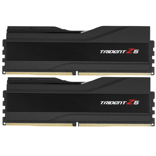 Купить Оперативная память G.Skill Trident Z5 [F5-8200J4052F24GX2-TZ5K] 48 ГБ в интернет-магазине DNS. Характеристики, цена G.Skill Trident Z5 | 5616311.