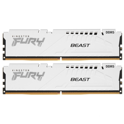 Купить Оперативная память Kingston FURY Beast White [KF552C40BWK2-64] 64 ГБ в интернет-магазине DNS. Характеристики, цена Kingston FURY Beast White | 5406619.