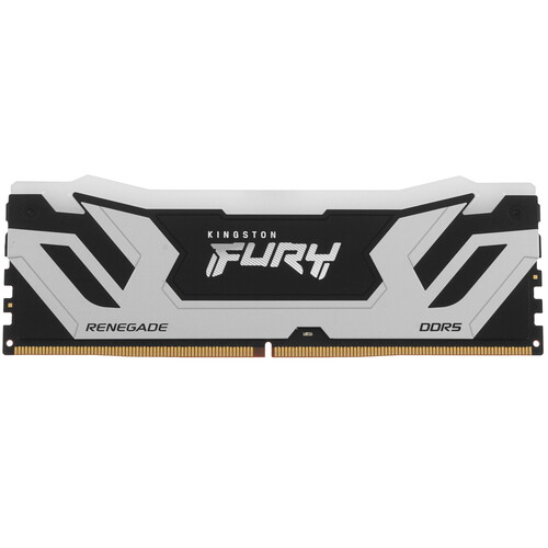 Купить Оперативная память Kingston FURY Renegade Silver RGB [KF588CU42RSA-24] 24 ГБ в интернет-магазине DNS. Характеристики, цена Kingston FURY Renegade Silver RGB | 5629301.