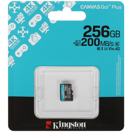Купить Карта памяти Kingston Canvas Go! Plus microSDXC 256 ГБ [SDCG4/256GBSP] в интернет-магазине DNS. Характеристики, цена  | 5632478.
