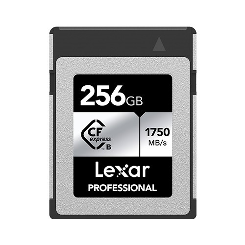Купить Карта памяти Lexar Professional Silver CFexpress Card Type B 256 ГБ [LCXEXSL256G-RNENC] в интернет-магазине DNS. Характеристики, цена  | 5641132.