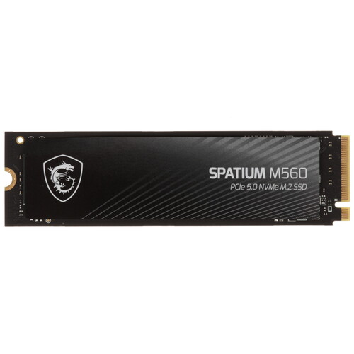 Купить 1000 ГБ M.2 NVMe накопитель MSI SPATIUM M560 [S78-440L0F0-P83] в интернет-магазине DNS. Характеристики, цена MSI SPATIUM M560 | 5622967.