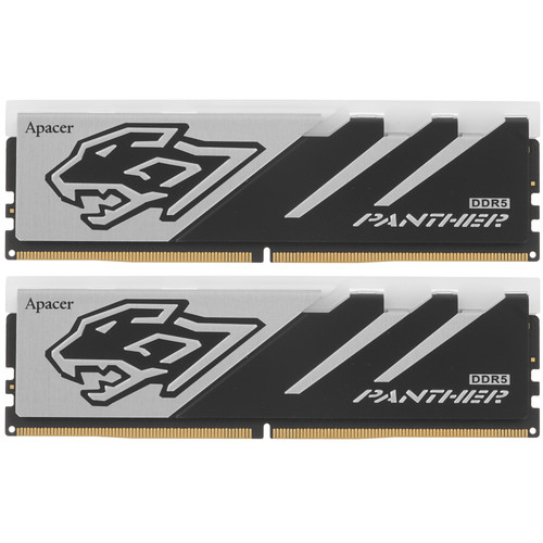 Купить Оперативная память Apacer Panther RGB [AH5U32G60C6229BAA-2] 32 ГБ в интернет-магазине DNS. Характеристики, цена Apacer Panther RGB | 5616689.