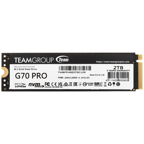 Купить 2000 ГБ M.2 NVMe накопитель TEAMGROUP T-FORCE G70 Pro [TM8FFH002T0C129] в интернет-магазине DNS. Характеристики, цена TEAMGROUP T-FORCE G70 Pro | 5457027.