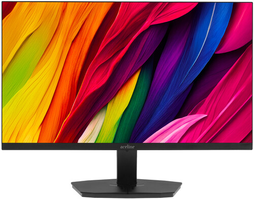 Купить 23.8" Монитор Aceline GS CF24N4 черный в интернет-магазине DNS. Характеристики, цена Aceline GS CF24N4 | 9153967.