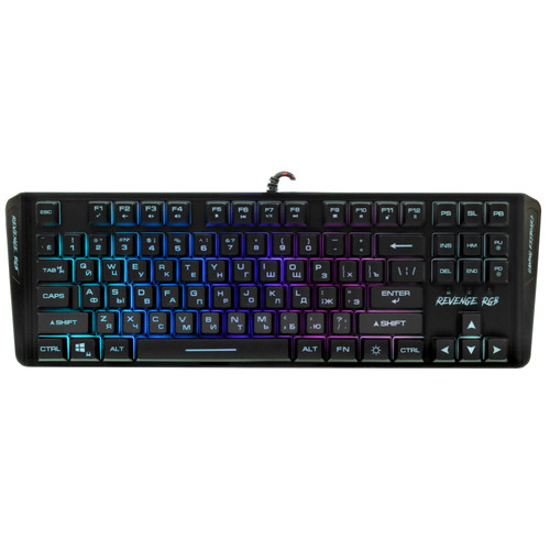 Купить Клавиатура  проводная Aceline GS Revenge RGB в интернет-магазине DNS. Характеристики, цена Aceline GS Revenge RGB | 5424874.