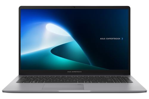 Купить 15.6" Ноутбук ASUS ExpertBook P1503CVA-S70357X серый в интернет-магазине DNS. Характеристики, цена ASUS ExpertBook P1503CVA-S70357X | 5493939.