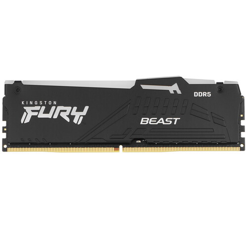 Купить Оперативная память Kingston FURY Beast Black AMD RGB [KF552C36BBEA-32] 32 ГБ в интернет-магазине DNS. Характеристики, цена Kingston FURY Beast Black AMD RGB | 5092074.