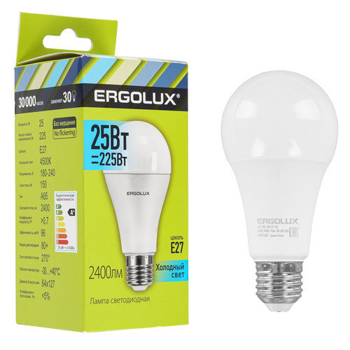 Купить Лампа светодиодная Ergolux LED-A65-25W-E27-4K в интернет-магазине DNS. Характеристики, цена Ergolux LED-A65-25W-E27-4K | 5467568.