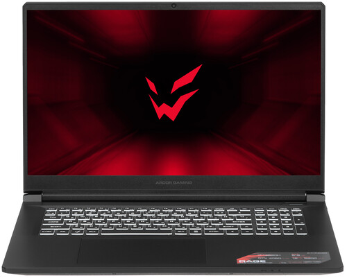 Купить 17.3" Ноутбук ARDOR Gaming RAGE R17-I7ND404 черный в интернет-магазине DNS. Характеристики, цена ARDOR Gaming RAGE R17-I7ND404 | 9083313.