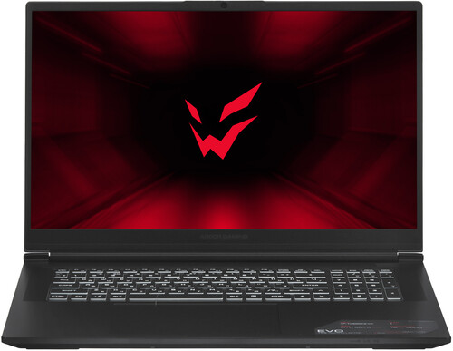 Купить 17.3" Ноутбук ARDOR GAMING EVO E17-I7ND501 черный в интернет-магазине DNS. Характеристики, цена ARDOR GAMING EVO E17-I7ND501 | 9283823.
