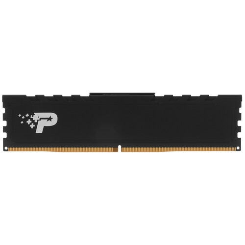 Купить Оперативная память Patriot Signature Premium CUDIMM [PSP516G64081H1C] 16 ГБ в интернет-магазине DNS. Характеристики, цена Patriot Signature Premium CUDIMM | 5610269.