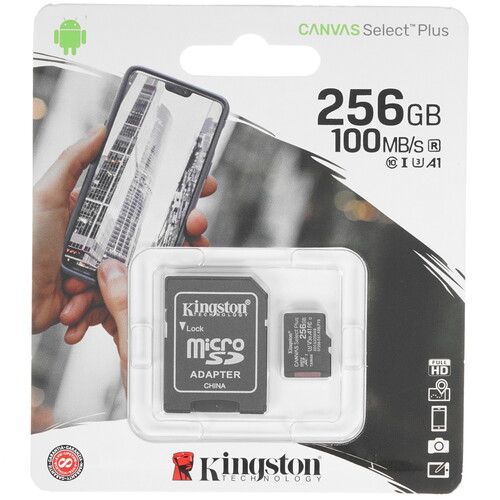 Купить Карта памяти Kingston microSDXC 256 ГБ [SDCS2/256GB] в интернет-магазине DNS. Характеристики, цена  | 4716398.