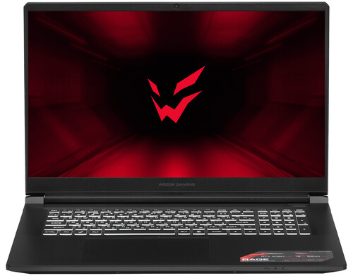 Купить 17.3" Ноутбук ARDOR Gaming RAGE R17-I7ND405 черный в интернет-магазине DNS. Характеристики, цена ARDOR Gaming RAGE R17-I7ND405 | 9083314.