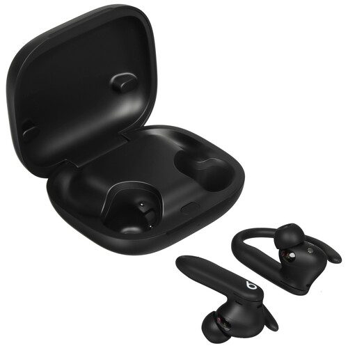 Купить Наушники TWS Beats Powerbeats Pro 2  черный 2025 в интернет-магазине DNS. Характеристики, цена Beats Powerbeats Pro 2 | 5617103.