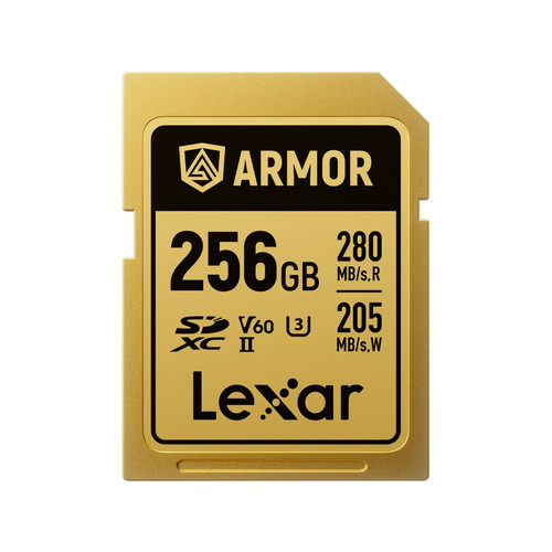 Купить Карта памяти Lexar Armor Gold SDXC 256 ГБ [LSDAMGL256G-RNNNC] в интернет-магазине DNS. Характеристики, цена  | 5641148.
