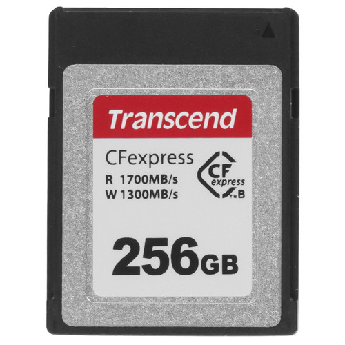 Купить Карта памяти Transcend CFexpress 820 CFexpress Card Type B 256 ГБ [TS256GCFE820] в интернет-магазине DNS. Характеристики, цена  | 5635814.