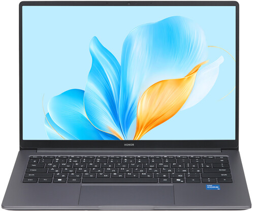 Купить 14" Ноутбук HONOR MagicBook X14 2025 5301ALWJ/FRG-X серый в интернет-магазине DNS. Характеристики, цена HONOR MagicBook X14 2025 5301ALWJ/FRG-X | 5608555.
