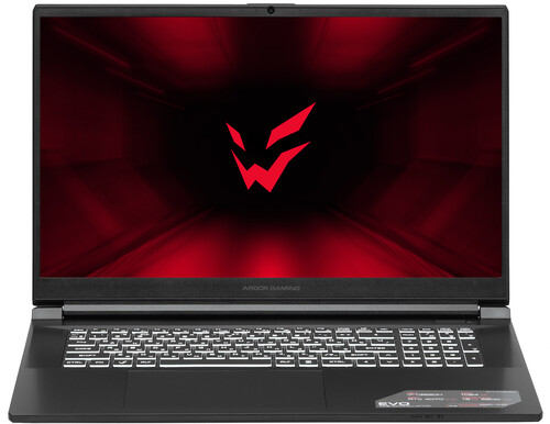 Купить 17.3" Ноутбук ARDOR Gaming EVO E17-I7ND401 черный в интернет-магазине DNS. Характеристики, цена ARDOR Gaming EVO E17-I7ND401 | 9083820.