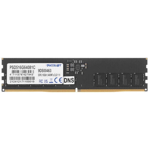 Купить Оперативная память Patriot Signature [PSD516G64081C] 16 ГБ в интернет-магазине DNS. Характеристики, цена Patriot Signature | 5610273.