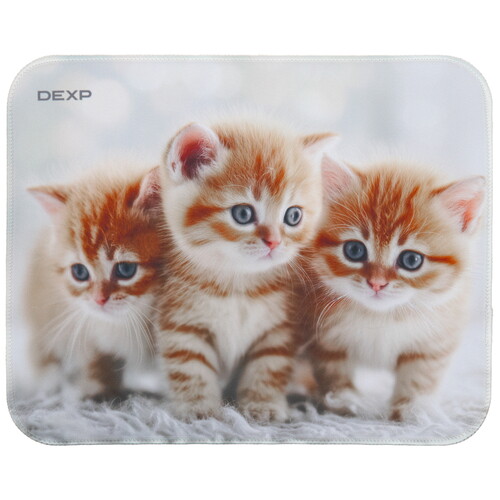 Купить Коврик DEXP Kittens (XS) разноцветный в интернет-магазине DNS. Характеристики, цена DEXP Kittens | 9297566.