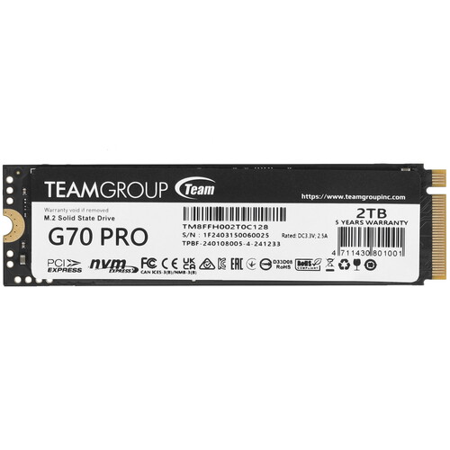 Купить 2000 ГБ M.2 NVMe накопитель TEAMGROUP T-FORCE G70 Pro [TM8FFH002T0C128] в интернет-магазине DNS. Характеристики, цена TEAMGROUP T-FORCE G70 Pro | 5457024.