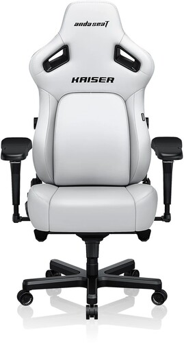 Купить Компьютерное кресло Anda Seat Kaiser 4 XL белый в интернет-магазине DNS. Характеристики, цена Anda Seat Kaiser 4 XL | 5607640.