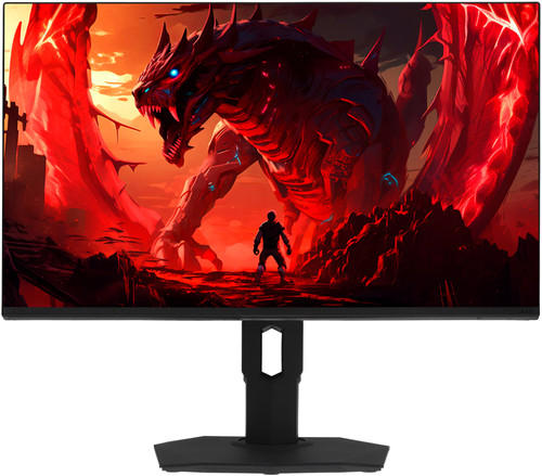 Купить 23.8" Монитор Acer Nitro XF243YP6bipr черный в интернет-магазине DNS. Характеристики, цена Acer Nitro XF243YP6bipr | 5632532.