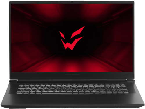 Купить 17.3" Ноутбук ARDOR Gaming RAGE R17-R7ND503 черный в интернет-магазине DNS. Характеристики, цена ARDOR Gaming RAGE R17-R7ND503 | 9316792.