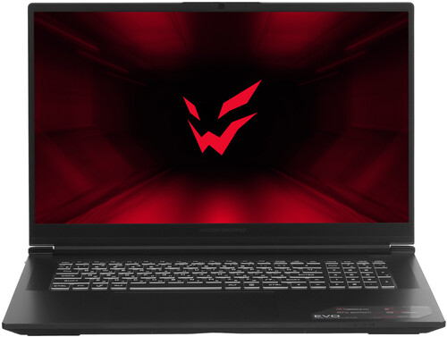 Купить 17.3" Ноутбук ARDOR GAMING EVO E17-I7ND502 черный в интернет-магазине DNS. Характеристики, цена ARDOR GAMING EVO E17-I7ND502 | 9283819.