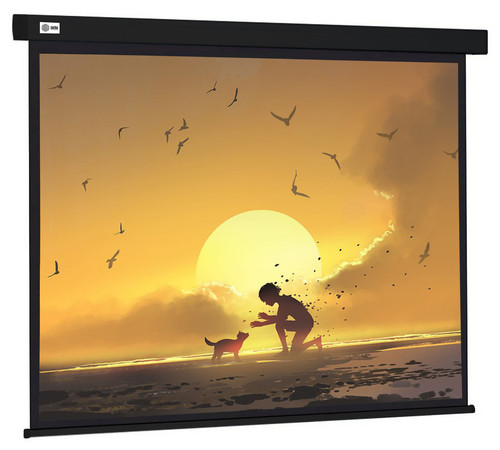 Купить 135" Экран для проектора Cactus Wallscreen CS-PSW-168X299-BK в интернет-магазине DNS. Характеристики, цена Cactus Wallscreen CS-PSW-168X299-BK | 9920785.