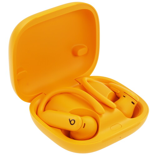 Купить Наушники TWS Beats Powerbeats Pro 2  оранжевый 2025 в интернет-магазине DNS. Характеристики, цена Beats Powerbeats Pro 2 | 5617100.