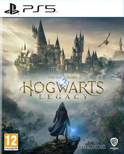 Купить Игра Hogwarts Legacy (PS5) в интернет-магазине DNS. Характеристики, цена Hogwarts Legacy | 5401265.